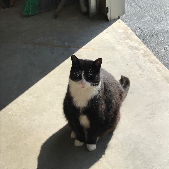 Meet your Posher, Arielle - Picture 1 of 1